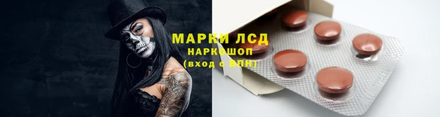 ПСИЛОЦИБИНОВЫЕ ГРИБЫ Щучье