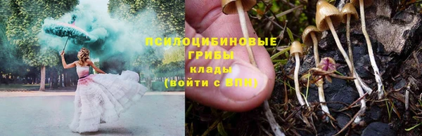 спайс Киреевск