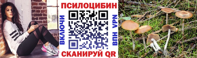 Галлюциногенные грибы Magic Shrooms  Новосибирск 