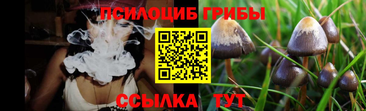 цены   Вход с VPN  Россия  Псилоцибиновые грибы GOLDEN TEACHER  Галлюциногенные грибы мухоморы 